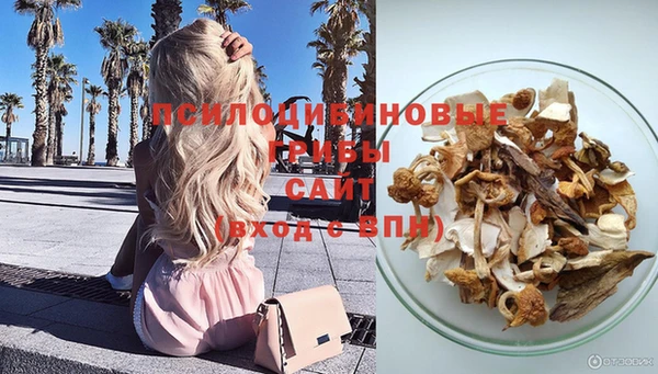 MESCALINE Медвежьегорск