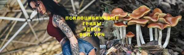 марки lsd Мегион
